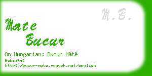 mate bucur business card